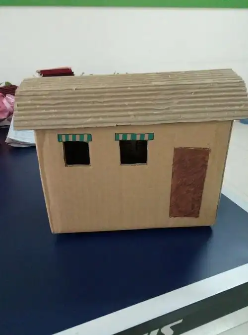 豁口小学六年级一班科技作品展