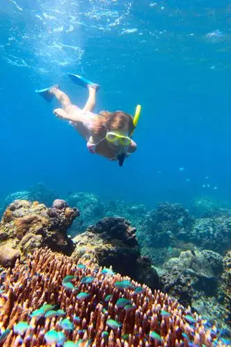 自由潜水的女人图片-潜水的女人和旁边的水母素材-高清图片-摄影照片
