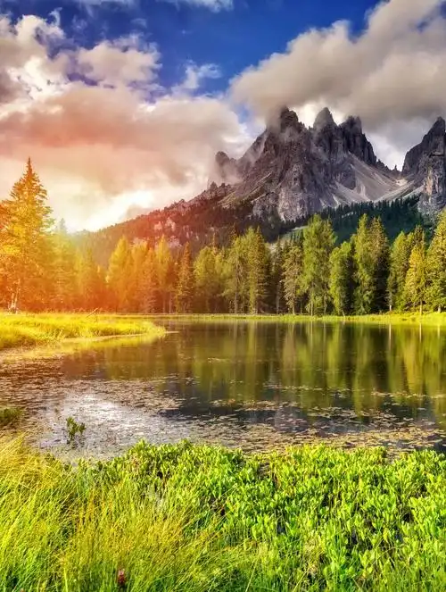 秋天公园里的景色