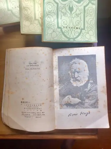 天才的内心—观《维克多 雨果展》