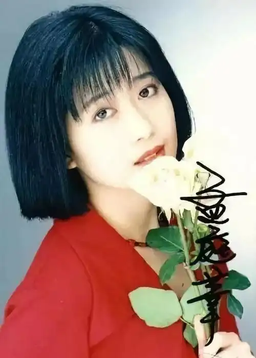 孟庭苇野百合也有春天