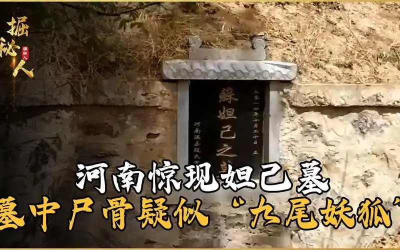 河南惊现妲己墓,墓中尸骨疑似九尾妖狐,专家:我们被骗了3600年