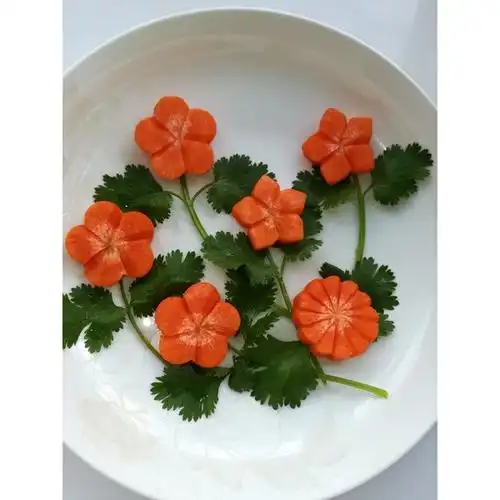 兰陵十八儿做的如如教你做萌萌哒胡萝卜小花花