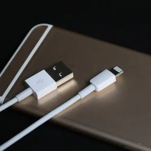 下单即送2根苹果线 3元红包-闲云野鹤0198