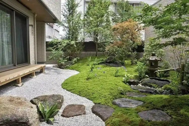 禅意庭院专注的慢欣赏无异于一种奢侈