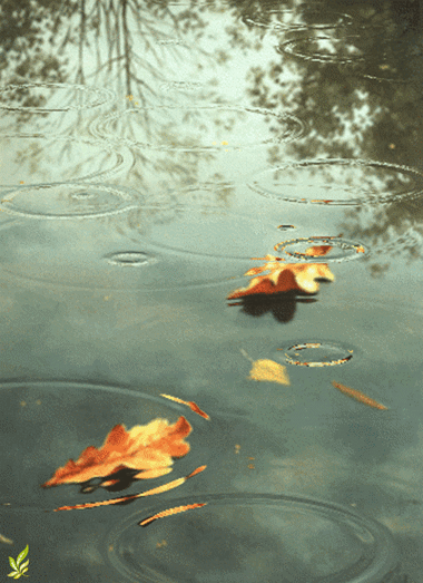 400_551竖版 竖屏gif 动态图 动图