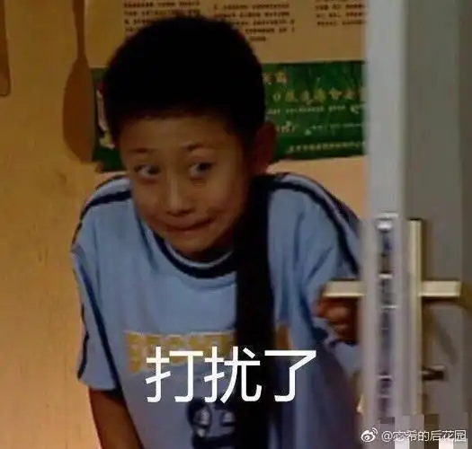 aylin_alexes  5月18日 15:07   关注  沙雕头像 表情包 家有儿女