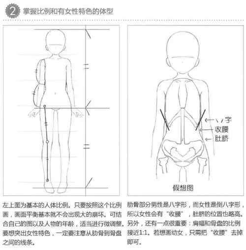绘画教程二次元动漫人物掌握比例参考