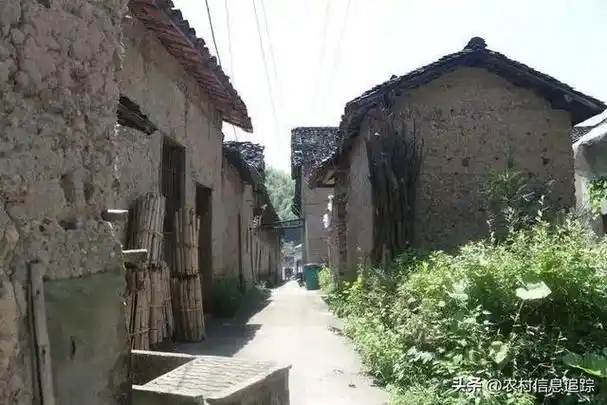 农村再次迎来"喜事"!这4个问题将彻底解决,农民注意了|养老|到农村|农