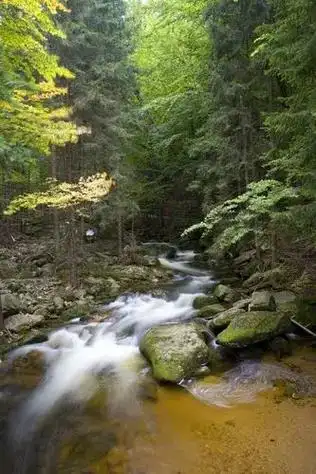#帝邦水景 #我的日常工作 道法自然,师法自然#溪流缸 素材 - 抖音