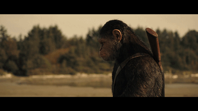 搞笑gif动态图片小主人你看我美不美