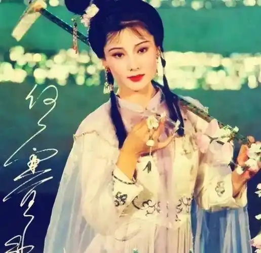 何赛飞丈夫杨楠:为爱甘做家庭煮夫,为爱丁克10年,4