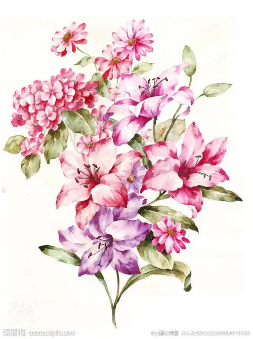 手绘花卉图片