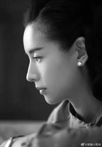 董洁的鼻子算不算的整容模版?