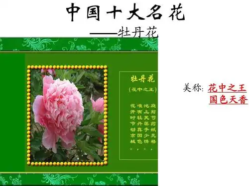中国十大名花 ——牡丹花 美称:花中之王 国色天香
