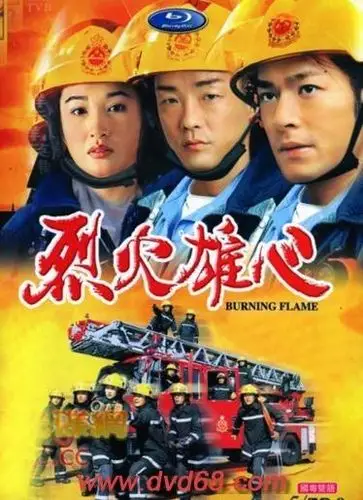 8.烈火雄心 个人完全不喜欢这个系列.但还是很火的职业剧