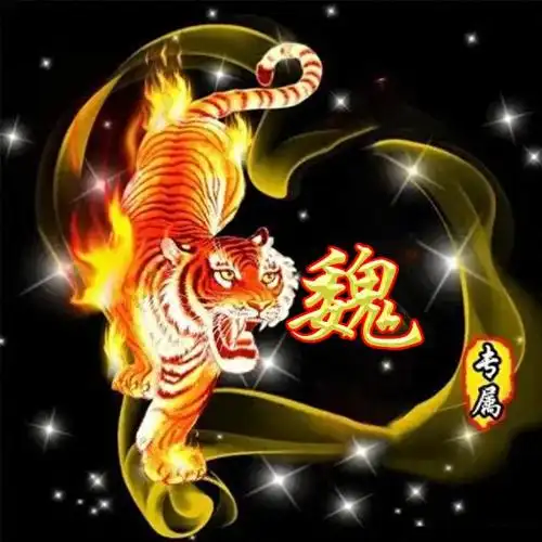 姓氏头像:老虎发威