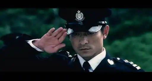 葬礼上,李心儿,may带着女儿都来参加,而刘建明向陈永仁的墓碑立正敬礼