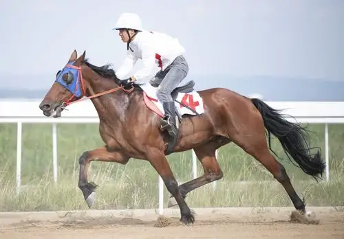 走马1000米赛况