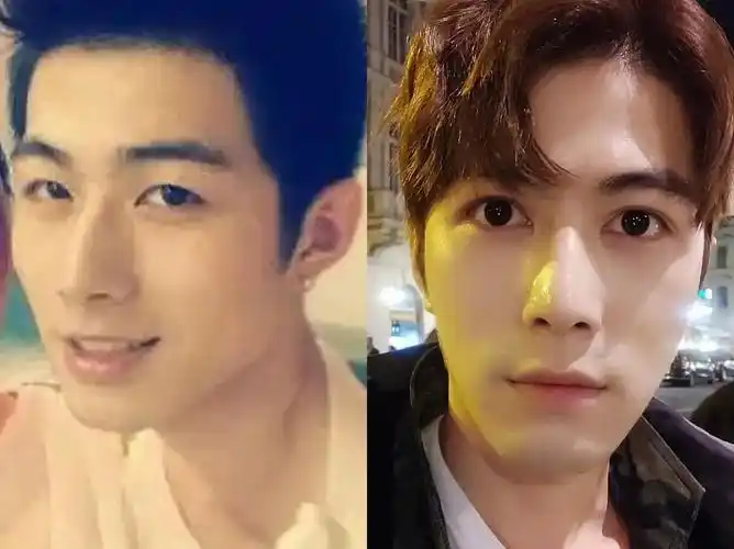 从这几位整容男明星里发现共同点