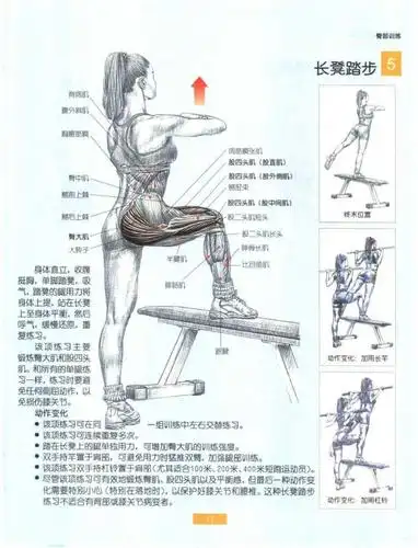 如何尽量地臀翘腿细?
