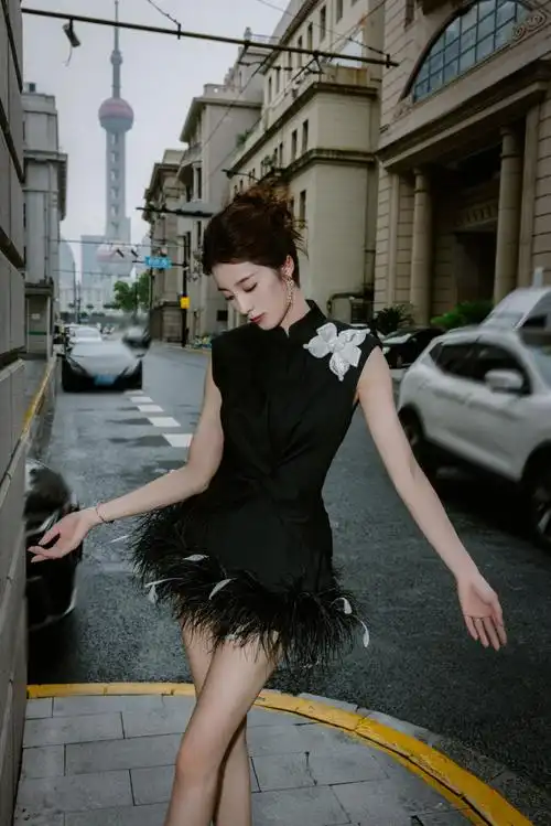 万鹏清冷黑天鹅