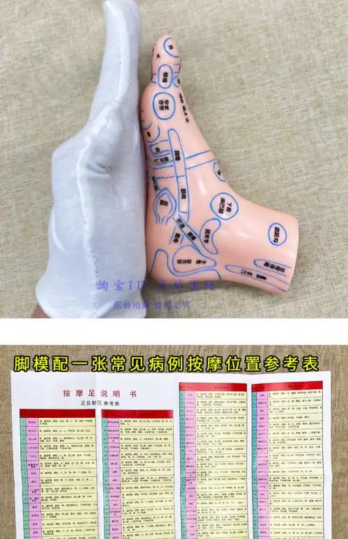 20cm反射区脚模型足疗超清软质刻字足模点穴按摩足底足疗足部穴位