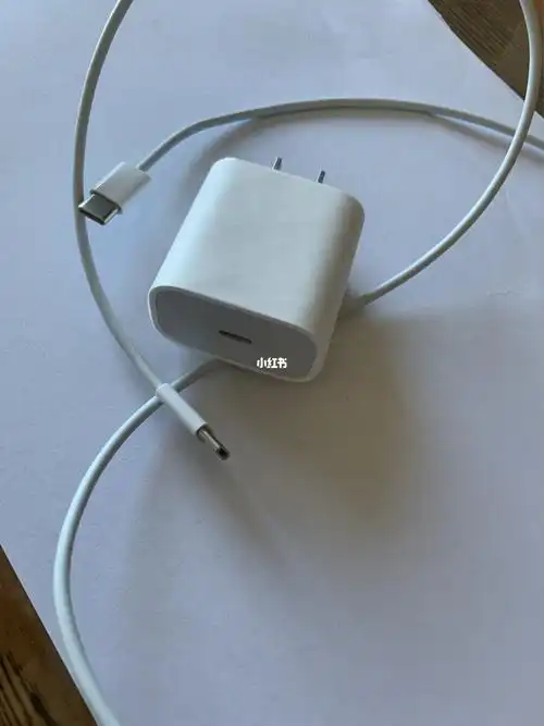 ipad pro的充电头和电源线……不知道12是不是和它一样