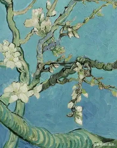 每日一画|梵高的这张杏花为谁而作呢?