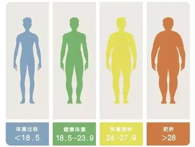 01   学会正确看待自己的体重   很多人对于体重过于敏感,只要身上