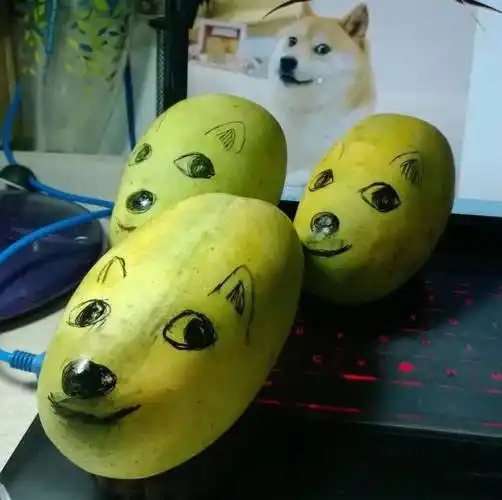 有多少年轻人把芒果核当宠物养?