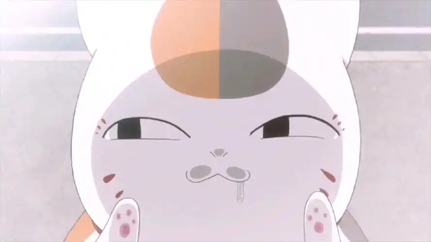 集可爱,撒娇,卖萌,搞笑于一身的猫咪老师合集(六十一)