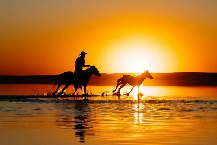 土耳其骑手落日余晖中策马奔腾微波水面留下完美倒影