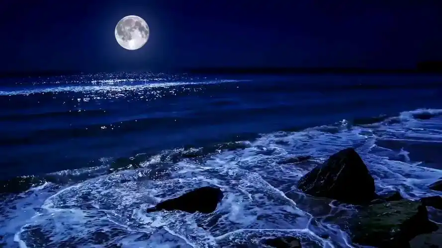 如果你最近很焦虑,闭上眼睛想象在夜晚的海边,躺在沙滩上让海水拍打