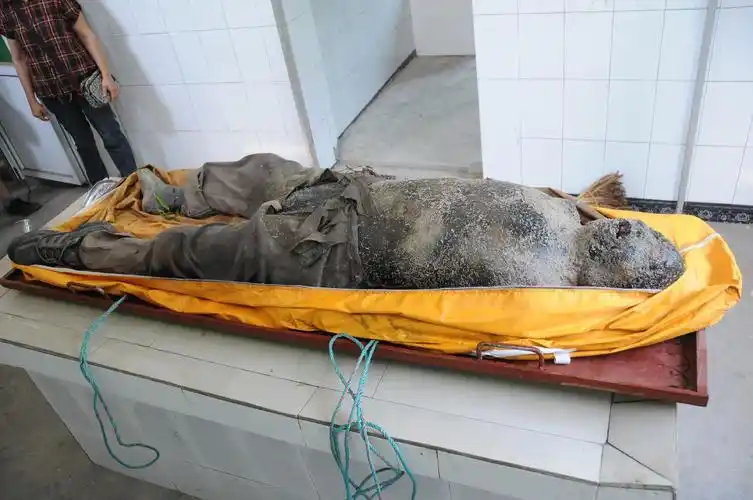 ta(fsrm)的城市空间,被关注过4126次