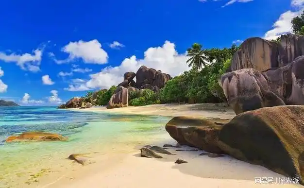 绝美的海洋之星:马尔代夫海滩|沙滩|珊瑚礁|珊瑚岛_网易订阅