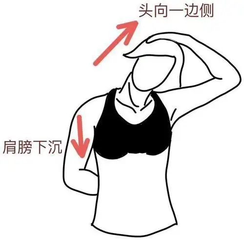 办公室颈肩肌肉疼痛,拉伸就足够了吗?康复师:没有这么简单