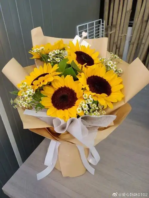 蔡徐坤ins##蔡徐坤ins