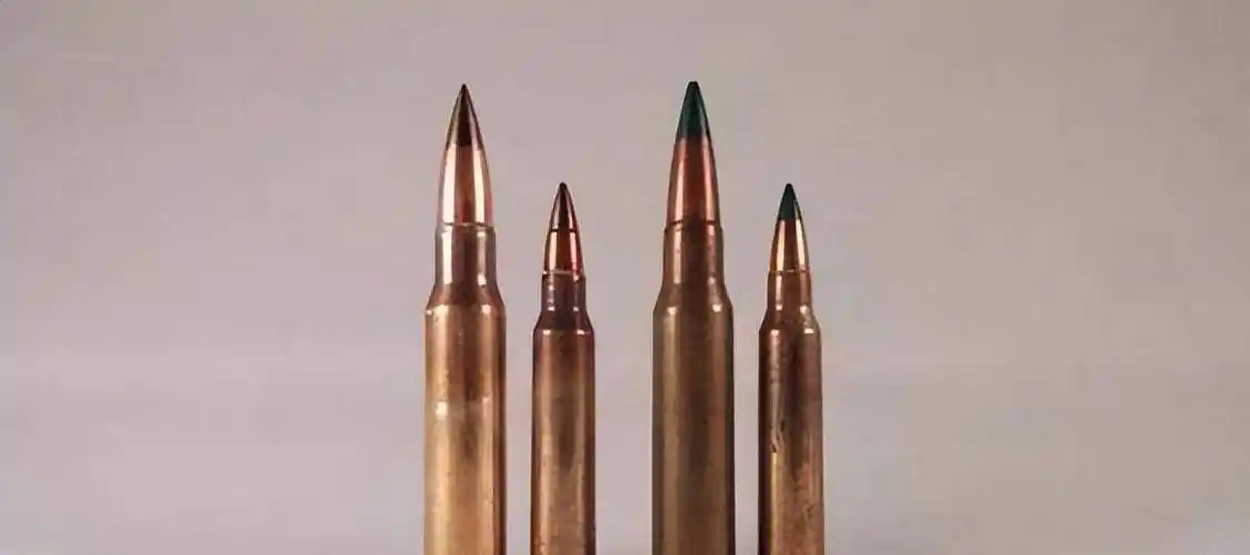 相关资产急缺,所以才会出台对死刑犯执行枪决时,收取"子弹费"的规