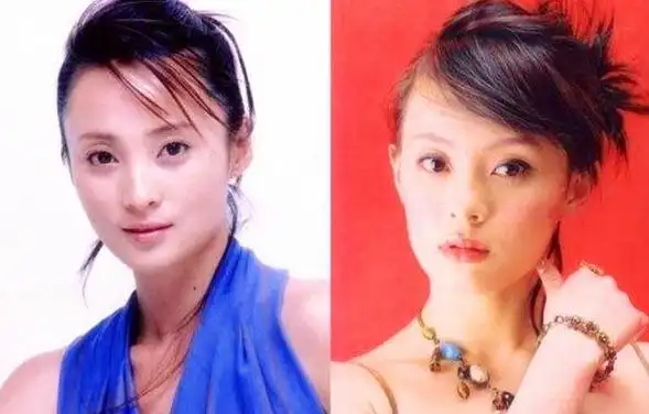 邢菲谭松韵"撞脸"?比她们更像的大有人在,有的就像孪生姐妹