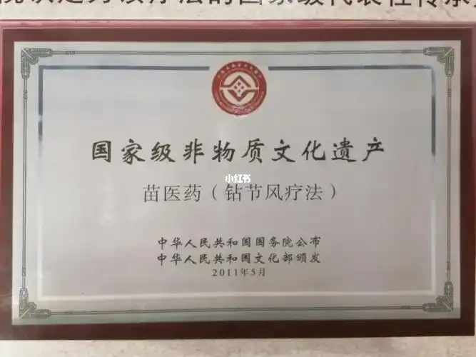 田兴秀苗医馆可是国家级非遗保护项目-苗医药钻节风疗法传承基地哦