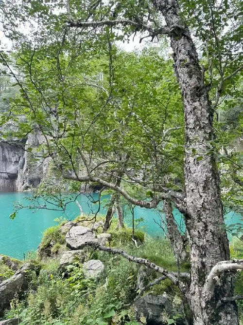 9015长白山绿渊潭太漂亮啦～都可以看到水里的星星95像是一块蓝