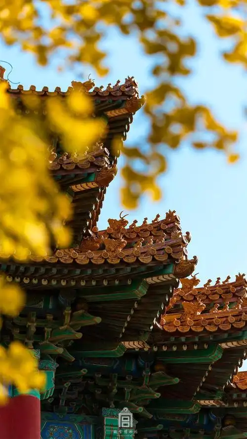 故宫##美景# #wallpaper# #壁纸# #锁屏# #背景# #手机壁纸