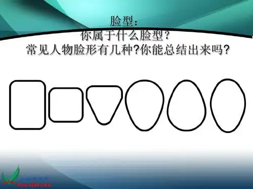 脸型: 你属于什么脸型? 常见人物脸形有几种?你能总结出来吗?