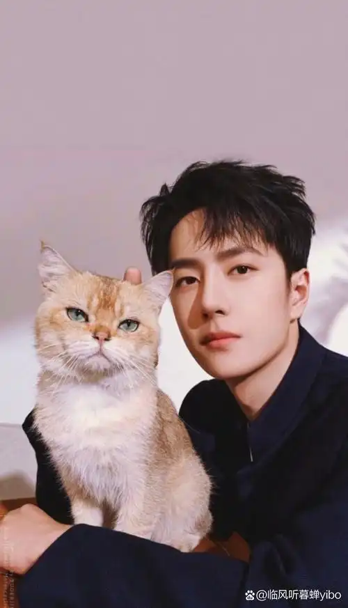 繁星装点了你的温柔,@uniq王一博 #王一博# 是我爱世界的理由 可爱的