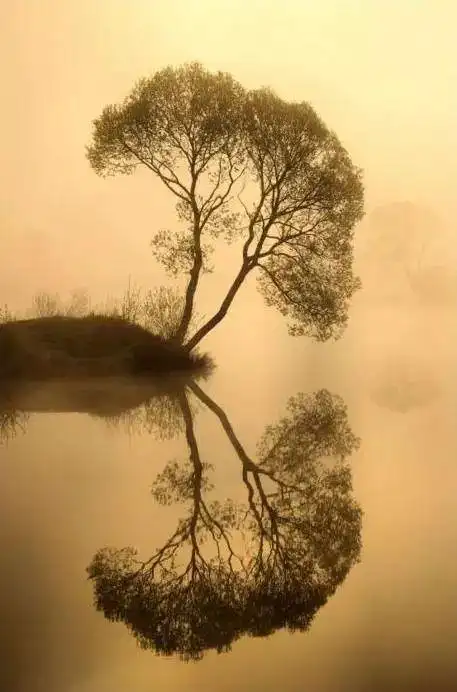 放空心灵的摄影,影中复影,太震撼了!