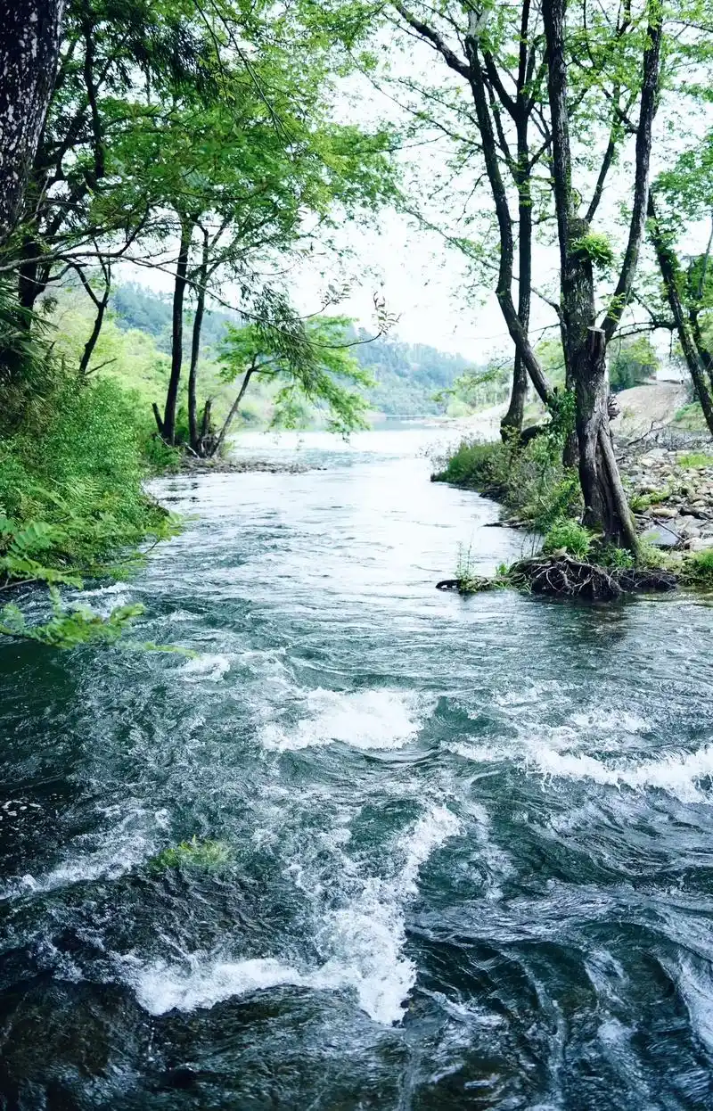 那我也看看南特的小河.#图文伙伴计划 - 抖音