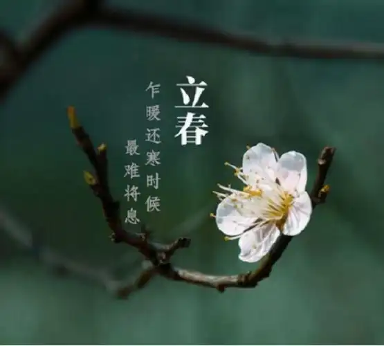 2021年立春的时间是2021年2月3日,是五九的最后一天,所以2021年将会是