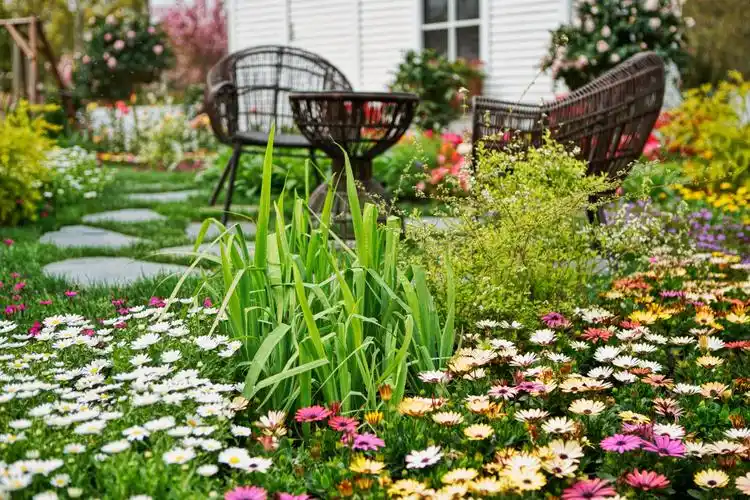 庭院艺术作品展示