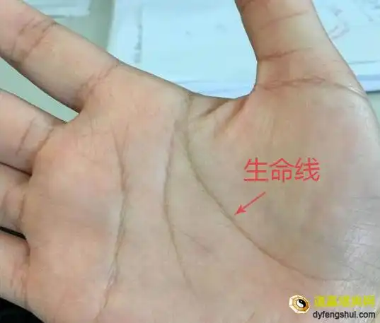从食指下面,沿着金星丘朝手腕方向前进的线,代表生命力与健康,从它的